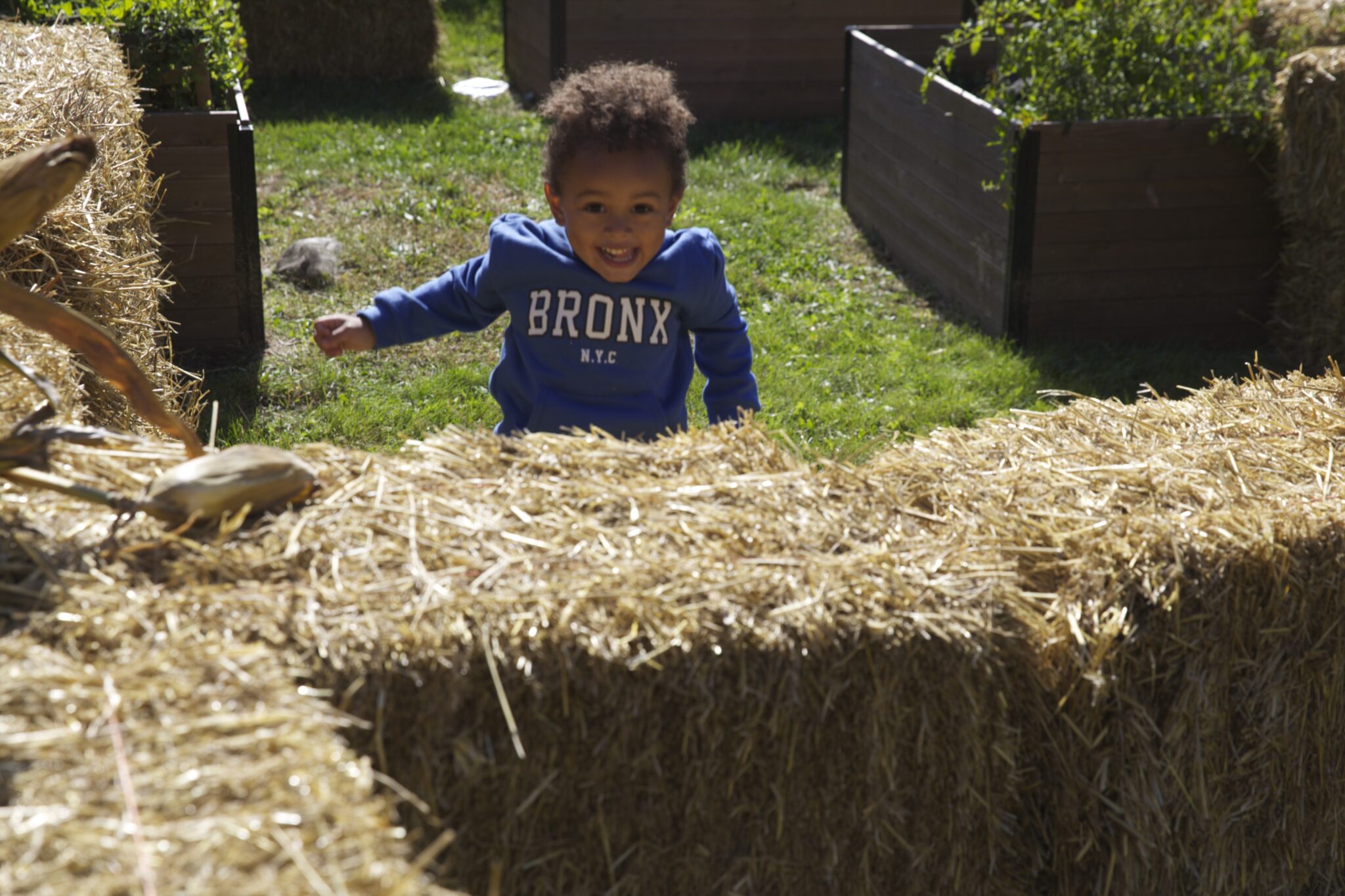 Fall Festival Image: child smiling behind bale of hay